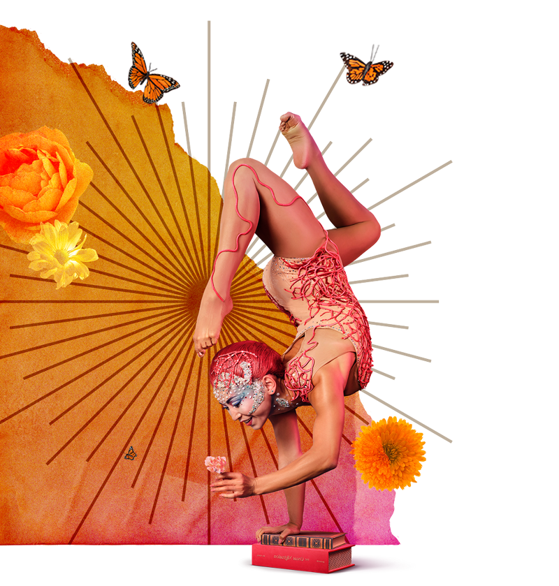 A contortionist balancing on one hand atop stacked books, surrounded by orange and yellow flowers, butterflies, and radiating graphic lines. The warm gradient background enhances the acrobatic pose and artistic details of the costume.